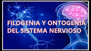 FILOGENIA Y ONTOGENIA DEL SISTEMA NERVIOSO [upl. by Aubigny]