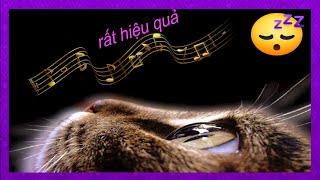 muziek ontworpen voor katten  muziek om rusteloze katten en kittens te ontspannen slaap katten [upl. by Yelena45]