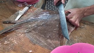 STREET STINGRAY SKINNING AND CUTTING [upl. by Acirem365]