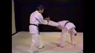 Aikido from scratch to perfection [upl. by Graves]