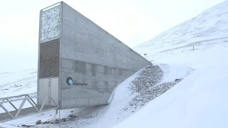 See inside the Doomsday seed vault [upl. by Gerry]