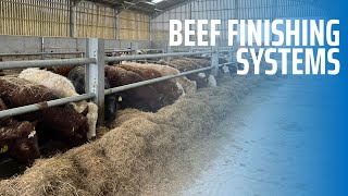 Beef Finishing Systems [upl. by Puna695]