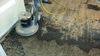 The easy way to remove old black tar linoleum adhesive from hardwood [upl. by Acihsay130]