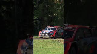 Thierry Neuville wins Central European Rally🏆 [upl. by Nodnorb]