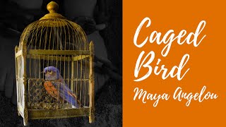 ANALYSIS Caged Bird🦜  By Maya Angelou Poem [upl. by Gleeson]