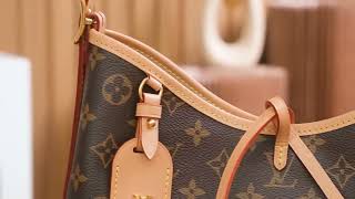 Louis Vuitton M46203 Carryall PM Shoulder Bag [upl. by Changaris955]