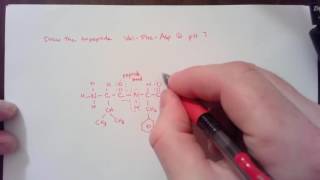 Drawing a tripeptide at pH 7 [upl. by Blim]