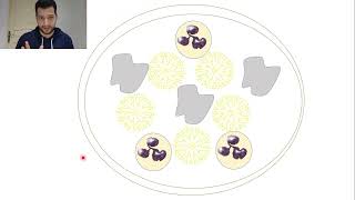 28Actinomyces israelii [upl. by Aicekat953]