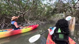 Out And About Sarasota at Kayaking SRQ [upl. by Nabois]