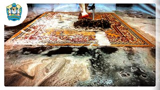 carpet cleaning videos  cleaning rugs satisfying compilation 01 [upl. by Odareg]