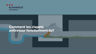 Comment les clapets antiretour fonctionnentils [upl. by Bud138]