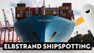 Elbstrand Shipspotting  2 x 400 m Containerschiff und die Artania ⚓️ Hamburg Hafen Live [upl. by Taggart657]