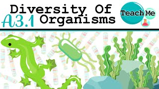 A31  Diversity Of Organisms  IB Biology SLHL [upl. by Landsman]