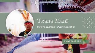 ✨Txana Manî✨Música Tradicional del Pueblo Noke Koi Aldea Nomanawa🌳 samauma [upl. by Kire]