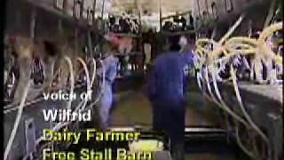 The Life of a Canadian Dairy Farmer Video [upl. by Ynavoeg52]