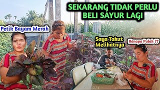 Pagi Ini Suami Bilang Dia Ketakutan Melihatnya [upl. by Egiaf]