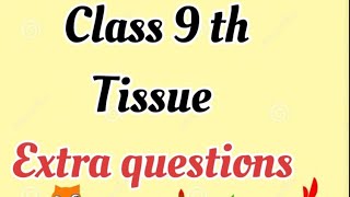 Most important extra questions of ch Tissue  class 9 th Biology [upl. by Serene]