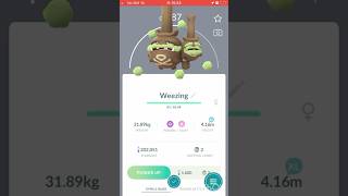 I got a shiny weezing in Pokémon GO ￼￼ [upl. by Iuq]