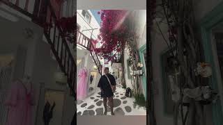 Athens Mykonos Santorini Greece shorts travel greece twins seafood blacktraveler blackwoman [upl. by Lindon382]