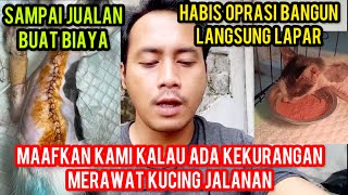 KABAR BAIK KUCING BEJO ALHAMDULILLAH OPRASINYA LANCAR DINTANGANI DOKTER AHLI [upl. by Krucik99]