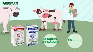 SOROFarm polivitamínico energético e antitóxico que garante a saúde do seu animal [upl. by Ulita278]