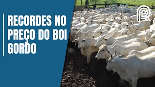 Boi gordo futuros superam R 280arroba e renovam recorde na B3 entenda o que vem pela frente [upl. by Ennayt]