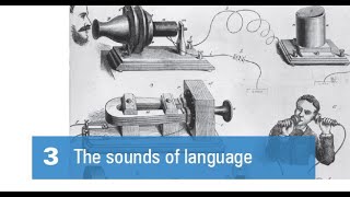 The Study of Language  Chapter 3 The Sounds of Language [upl. by Anirbac]