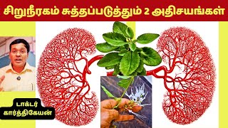 இந்த 2 உணவுகள் சிறுநீரகத்தை சுத்தப்படுத்தும் அதிசயங்களா  2 kidney detox foods [upl. by Dabney]