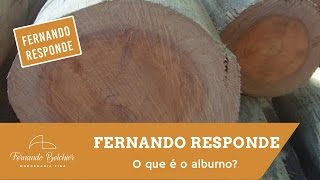 O que é o alburno Fernando Responde [upl. by Andrey156]