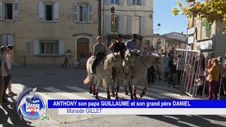 Mouriès 2 novembre 2024 Abrivado avec la manade GILLET qui fête ses 50 ans [upl. by Adnorahc832]