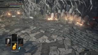 Dark Souls 3  Sirris and Yuria vs Hawkwood and Leonhard [upl. by Aivull8]