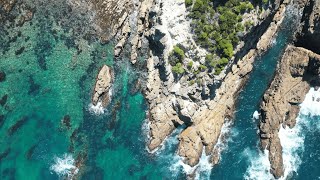 Ocean Spearfishing in Eden New South Wales [upl. by Llerat]