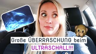 Vlog  Aufgeregt  Termin beim Frauenarzt  1 Zyklus nach Absetzen der Pille  Annis Blog [upl. by Anole]