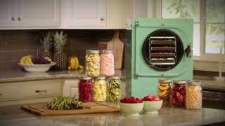 Freeze Drying vs Canning amp Dehydrating [upl. by Maharba580]