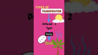 Types of Transpiration shorts ytshorts transpiration type science stomata pritiduhanofficial [upl. by Yemrots514]