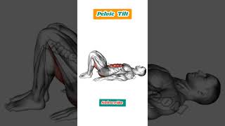 Pelvic Tilt exercise for men [upl. by Analeh]