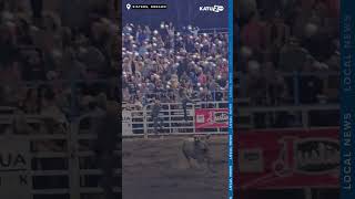 WATCH Bull jumps over fence going into the crowd in Sisters Oregon Three people injured [upl. by Assillam615]