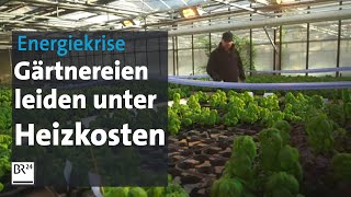 Steigende Energiekosten GemüseProduzenten unter Druck  Abendschau  BR24 [upl. by Ritz]