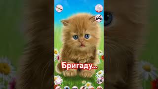 Игра talking baby cat [upl. by Brackely]