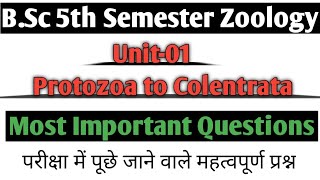 BSc 3rd Year 5th Semester Zoology Unit01 Protozoa to colentrata Important Questions impquestion [upl. by Yelserp]