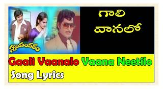 Gaali Vaaluga  A Tribute To PSPK  Telugu Song [upl. by Bergeron]