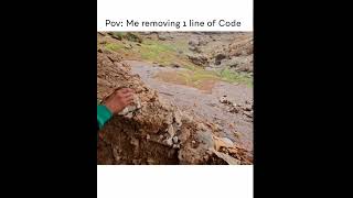 POV Me removing 1 line of code [upl. by Yesnnyl]