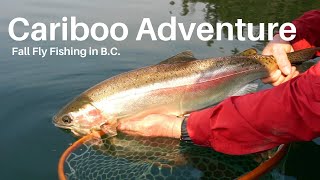 Fall Stillwater Fly Fishing in BCs Cariboo Region  Phil Rowley Fly Fishing [upl. by Bivins]