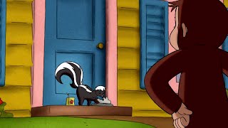 George Vs Skunk 🐵Curious George 🐵Videos for Kids [upl. by Bird]