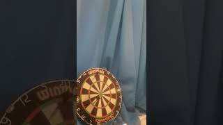 Dartboard 41 Checkout 51620 [upl. by Enawtna266]