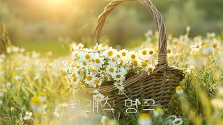 Relaxing Music Korean 광고없음NO ADS 클래식 명곡 베스트  부드러운 아침을 위한 명곡 클래식 음악 모음 [upl. by Areht]