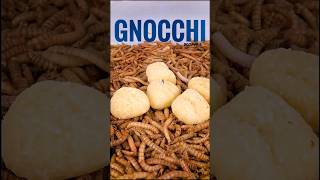 10000 Mealworms vs Gnocchi 🍝  Will They Devour It [upl. by Orelu]