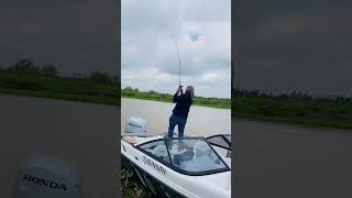 New best video about fishing Best fishing [upl. by Crean]