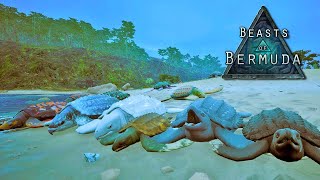 Turtle Army Is Here Archelon Public Test Beasts of Bermuda Gameplay [upl. by Oicor]