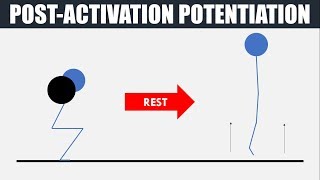 Post Activation Potentiation  Theory and Practical Application [upl. by Hiasi159]